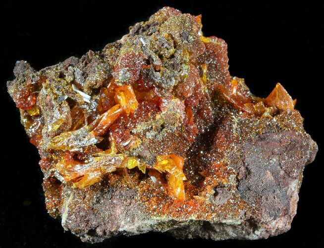 Bright Orange Wulfenite Crystal Cluster - Rowley Mine, AZ #49377